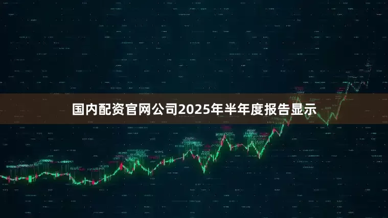 国内配资官网公司2025年半年度报告显示