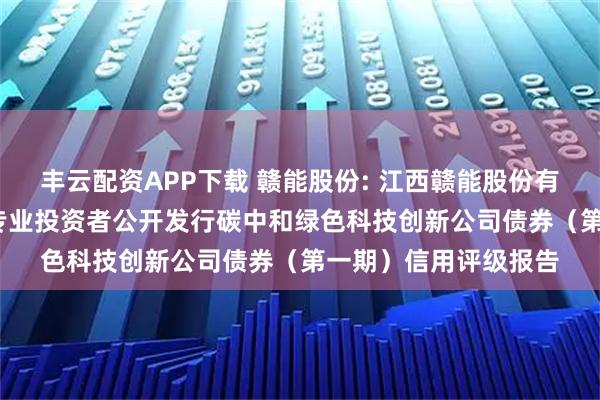 丰云配资APP下载 赣能股份: 江西赣能股份有限公司2025年面向专业投资者公开发行碳中和绿色科技创新公司债券（第一期）信用评级报告