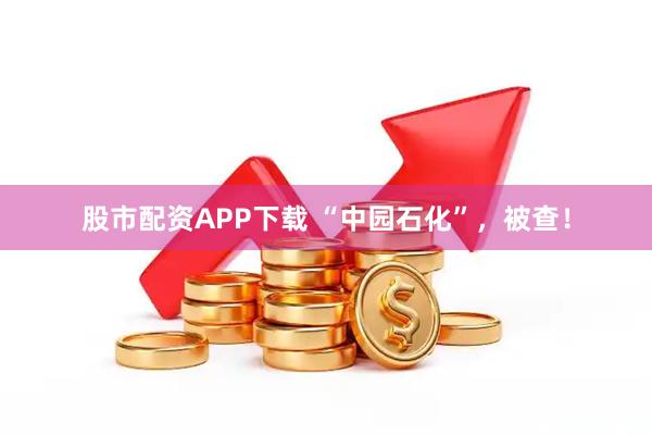 股市配资APP下载 “中园石化”,被查!