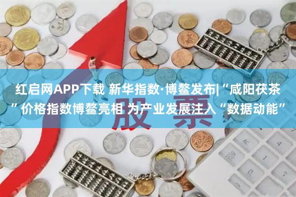 红启网APP下载 新华指数·博鳌发布|“咸阳茯茶”价格指数博鳌亮相 为产业发展注入“数据动能”